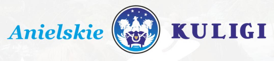  Anielskie Kuligi dla grup, firm i rodzin
