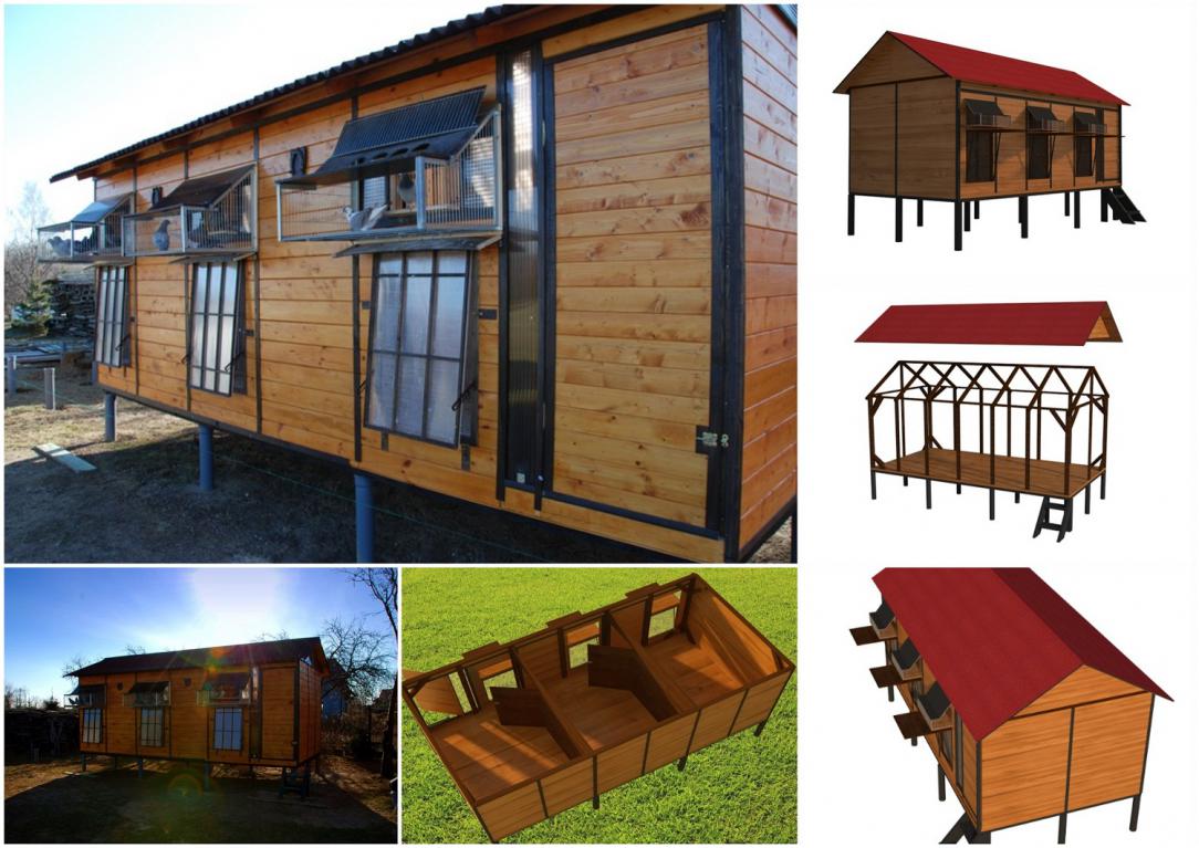 GOŁĘBNIK SOLIDNY WLOTY PRZEGRODY wymiar 200x600