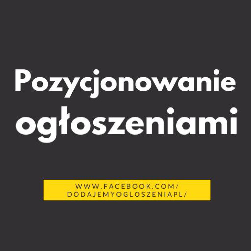 Jak skutecznie dodawać ogłoszenia SEO na portalach