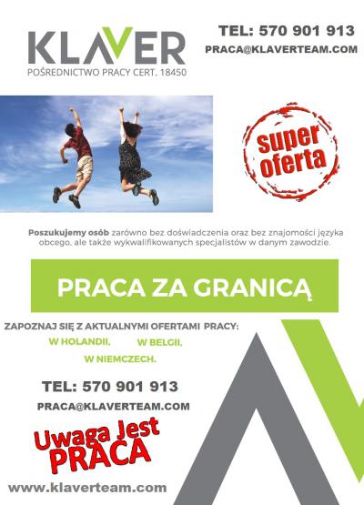 Klaver-praca w Holandii szklarnia bez wiekówki 