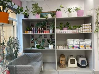 Nowy Vitalvet - przychodnia weterynaryjna, weteryn