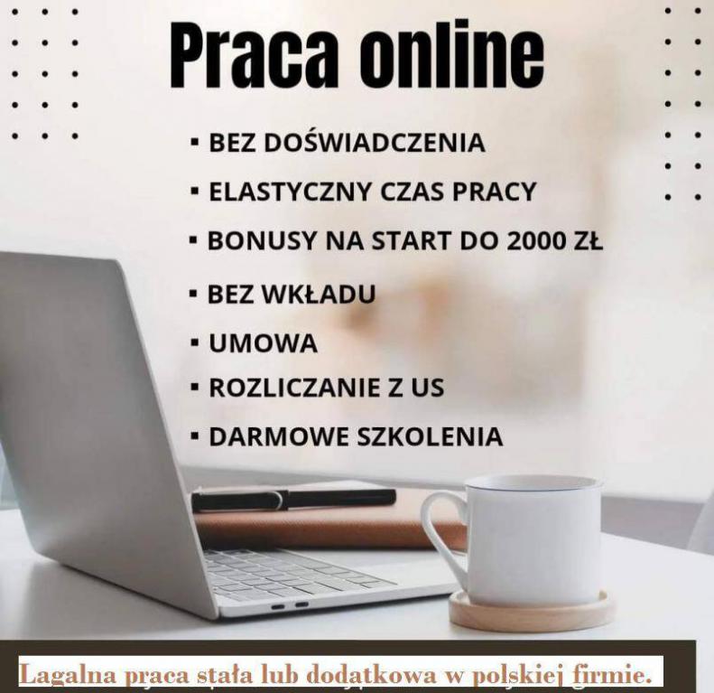 Praca stała lub dodatkowa zdalna, w domu