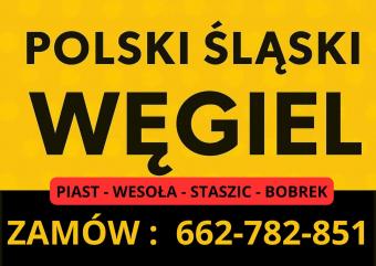 PROMOCJA POLSKI ŚLASKI WĘGIEL - 