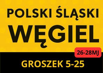 PROMOCJA POLSKI ŚLASKI WĘGIEL - 