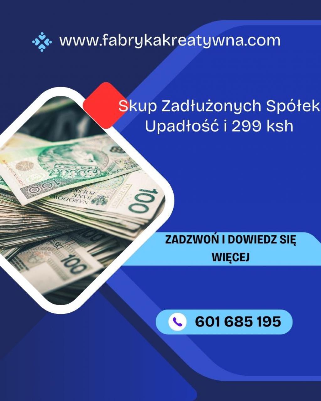 Skup Spółek w Upadłości i Zadłużonych Ochrona