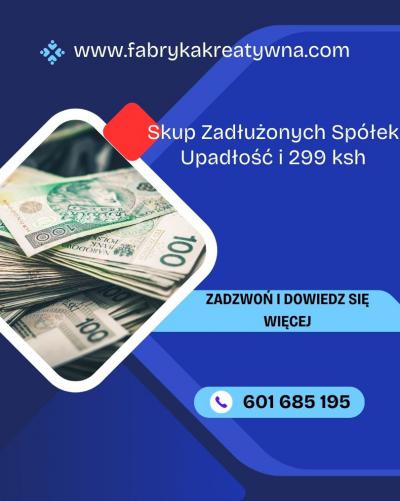 Skup Spółek w Upadłości i Zadłużonych Ochrona
