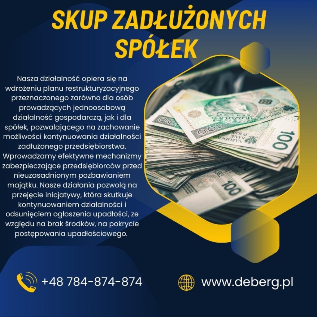 Skup Spółek Zadłużonych / Działalność Gospodarcza 